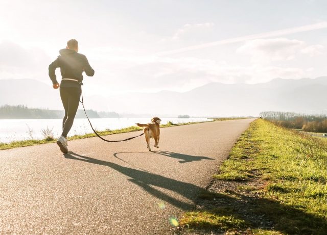 Canicross race with dog MÆT Pets