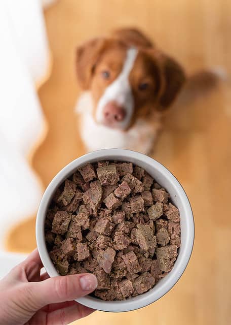 Schlankheitsfutter für Hunde MÆT Haustiere