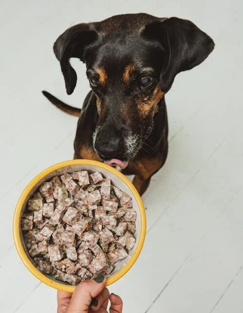 MÆT Pets våtfoder för hundar