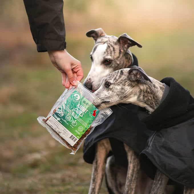 Hundemåltidskasse: Hundefoder Abonnement med Prøvepakke