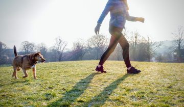 Få en sund hund og træning på gåturen