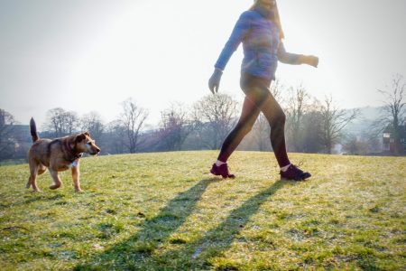 Få-en-sund-hund-og-træning-på-gåturen