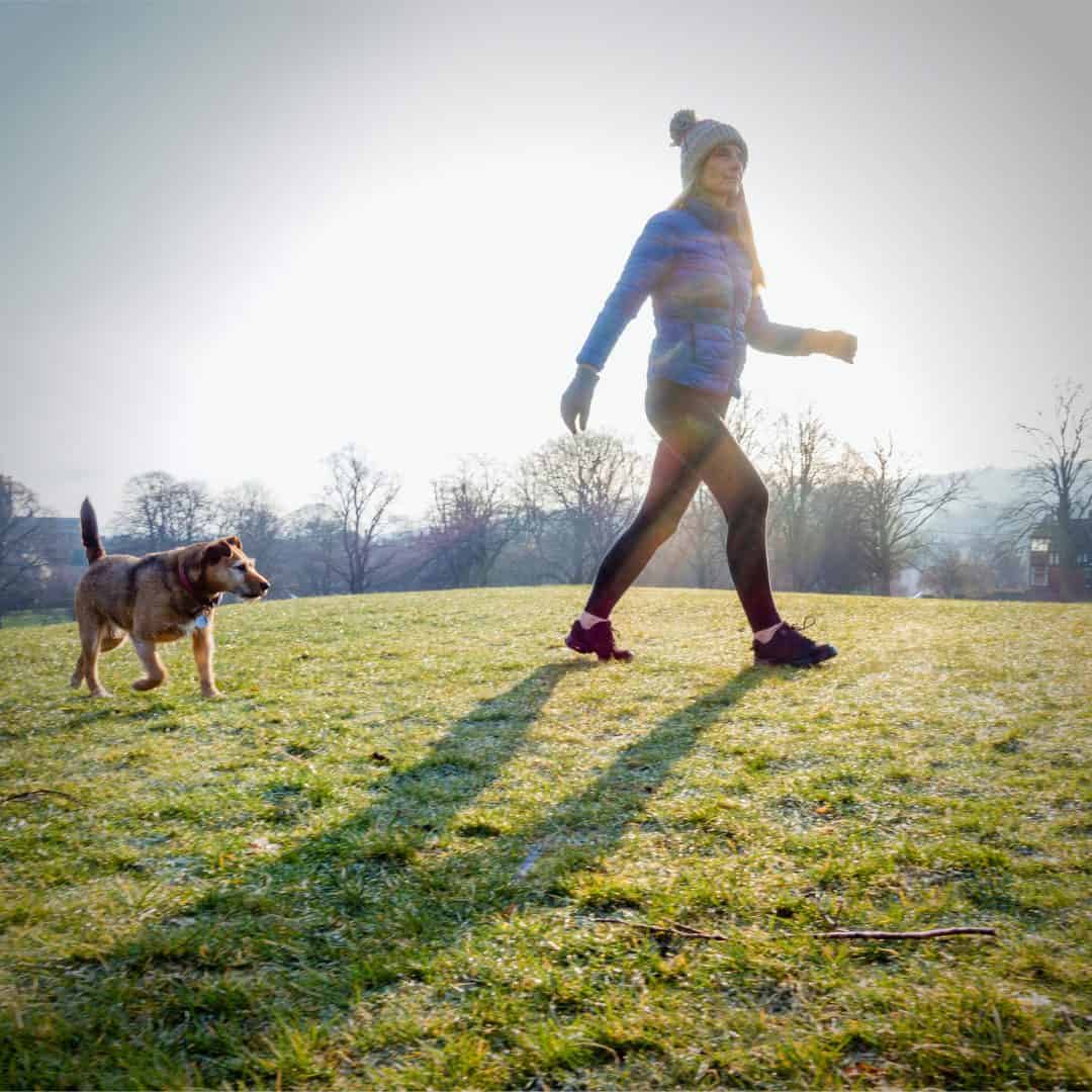 Få-en-sund-hund-og-træning-på-gåturen