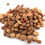 15801488 dry dog food on white background