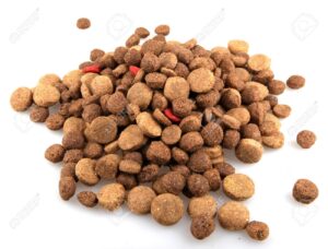 15801488 dry dog food on white background