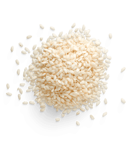 rice rice