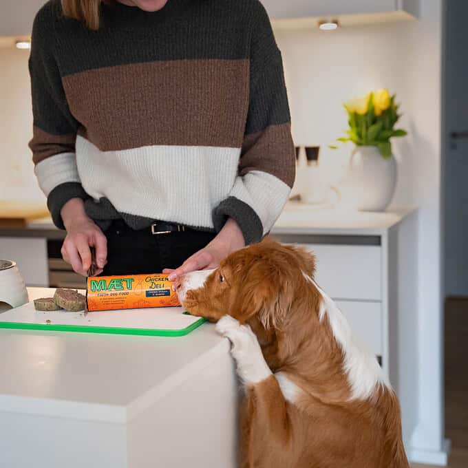 Hundemåltidskasse: Hundefoder Abonnement med Prøvepakke