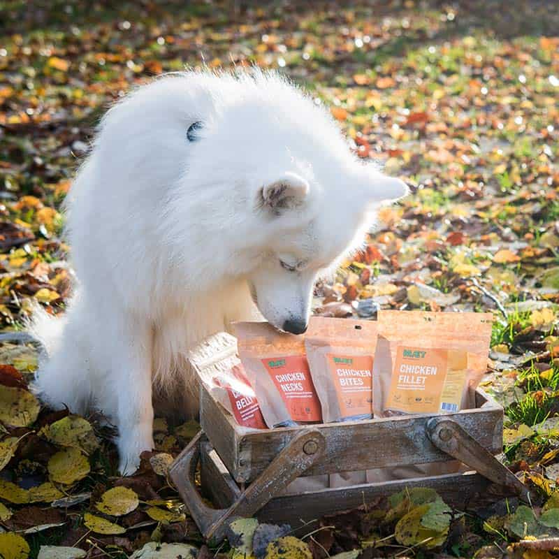 spannmålsfria hundgodis