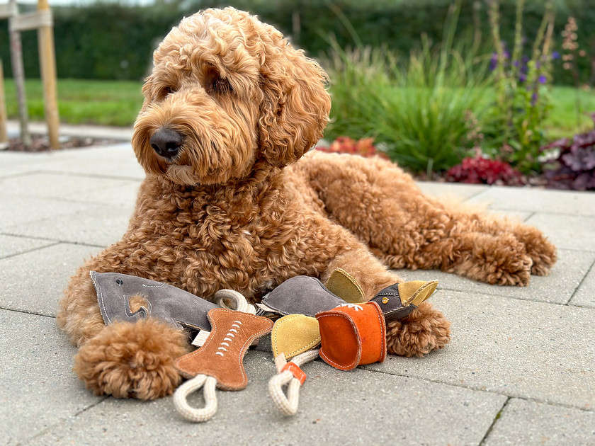 MÆT Legetøjspakke til hunde