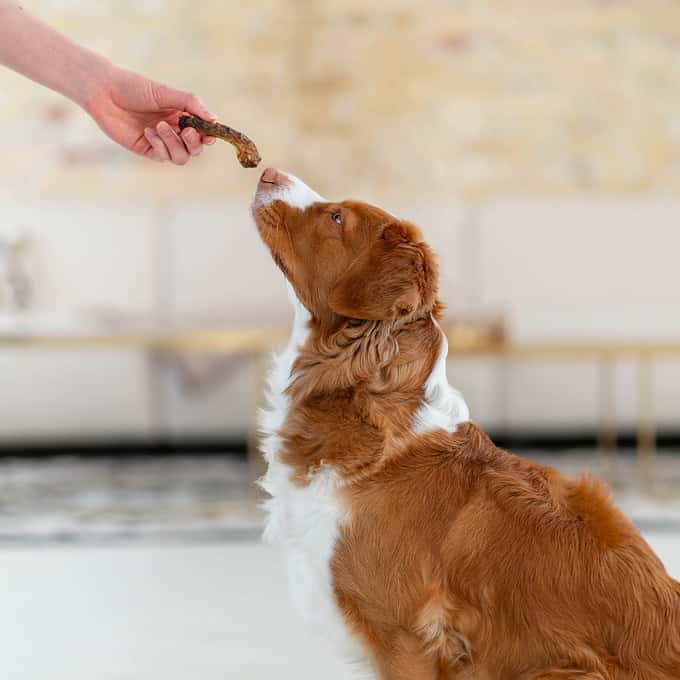 Månedens Goodieboks