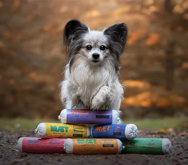 MÆT Frisk hundemad