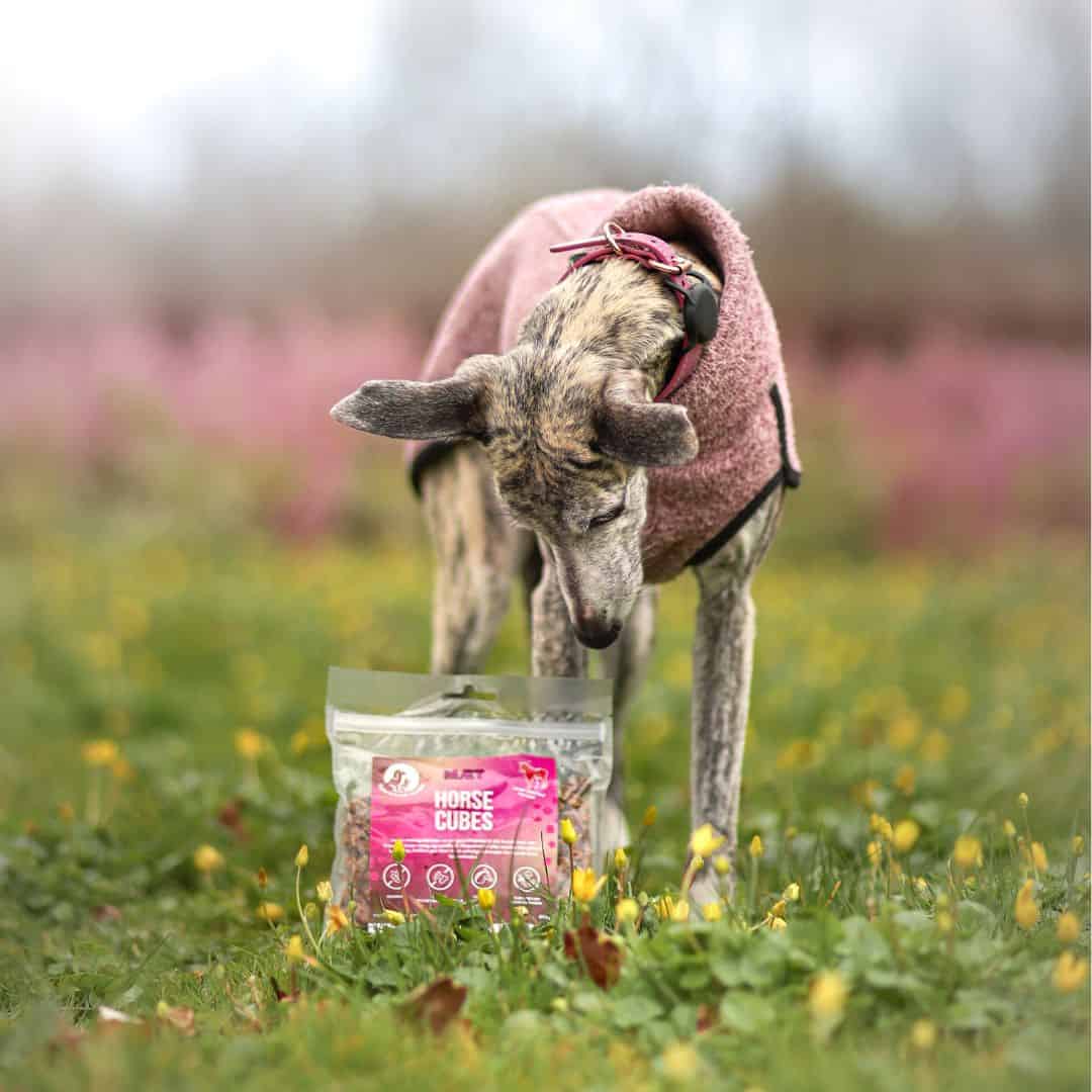 Snack kampagne i opslag format | MÆT