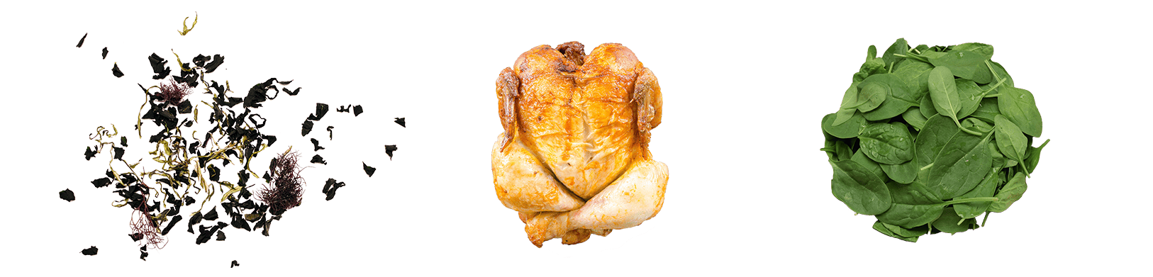 chicken deli second ingredients maet | MÆT