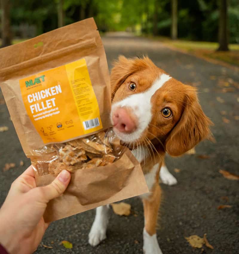 glutenfri hundegodbidder MÆT Pets