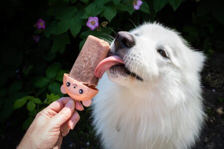 hundglass - hemlagad glass för hundar