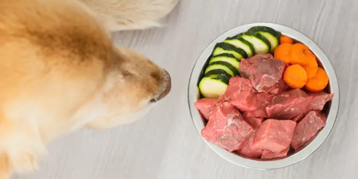 Boost folder syre BARF-hundmat - Finns det några fördelar med raw feeding? | MÆT Pets