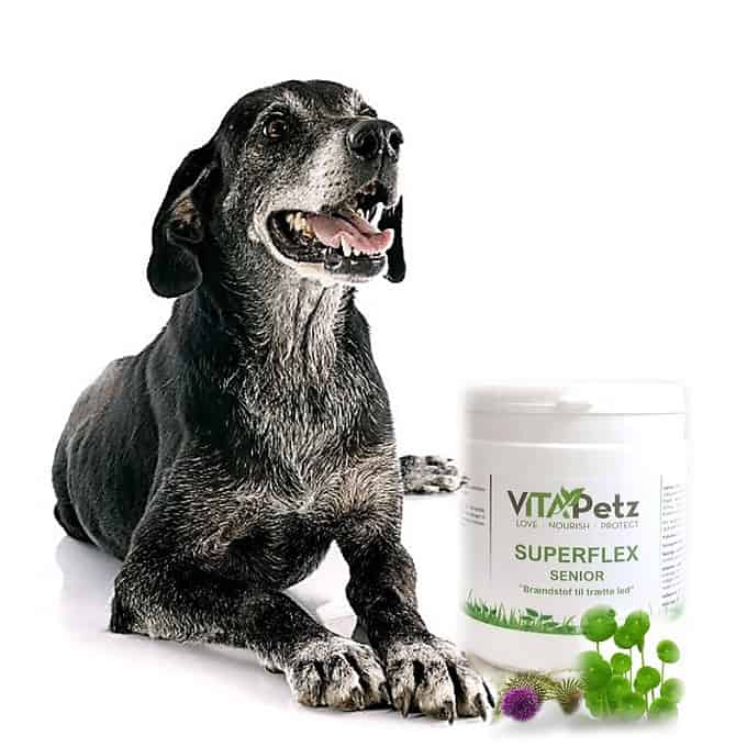 kosttilskud til hunde med ledproblemer - Vita Petz Superflex Senior 150g