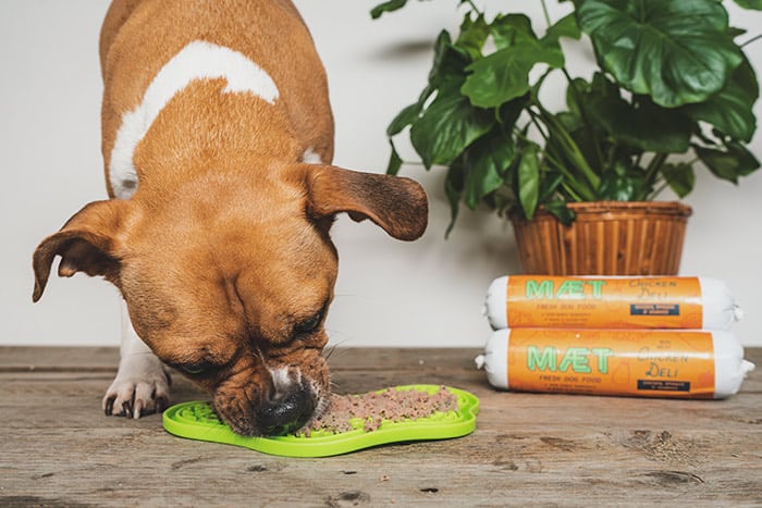 MAET on a LickiMat licking mat