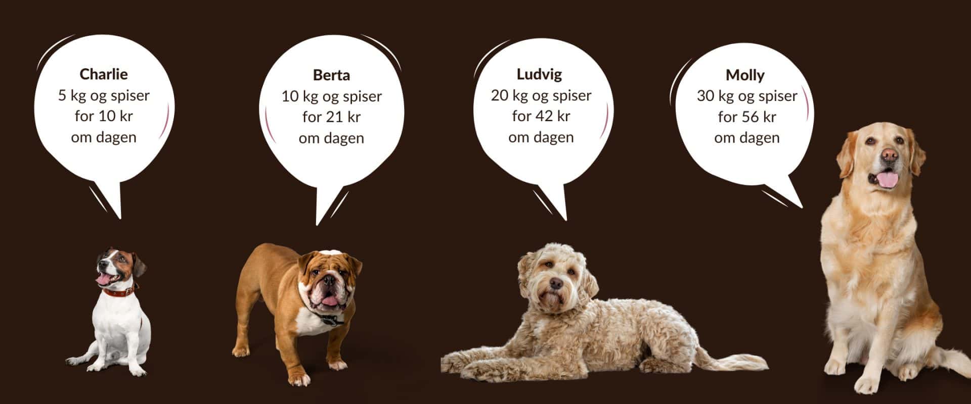 price comparison maet