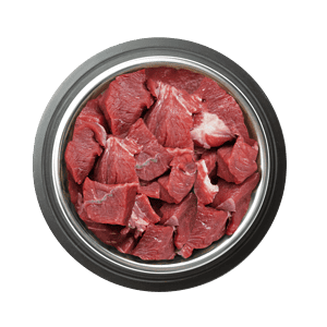 Raw meat dog food
