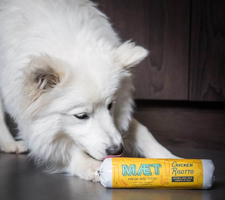 cement Tag væk Praktisk Gentle food for dogs | MÆT Pets