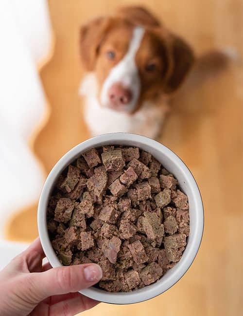 Bantningsmat hund MÆT Husdjur