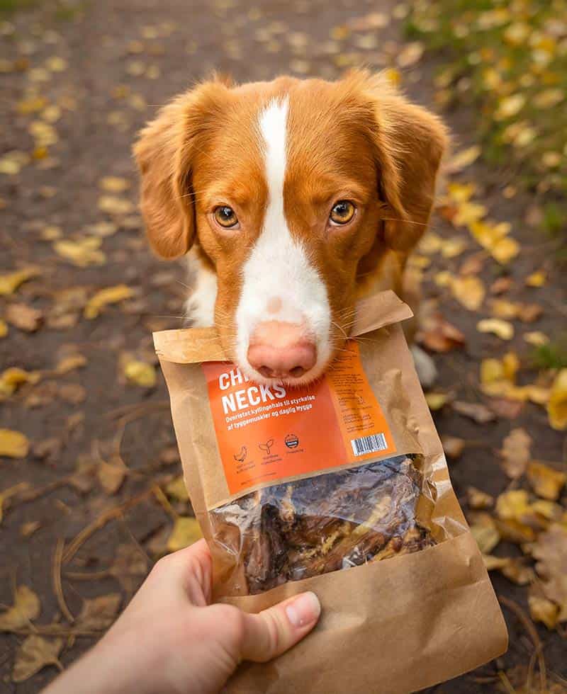 Chicken necks for dogs