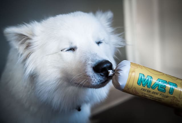 Albus dufter til sund hundemad fra MÆT Pets
