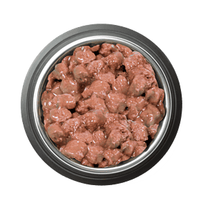 Canned dog food